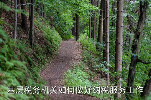基層稅務機關如何適應稅收現(xiàn)代化，基層稅務機關如何做好納稅服務工作