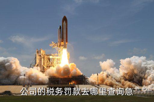 如何查稅收罰款，公司的稅務罰款去哪里查詢急
