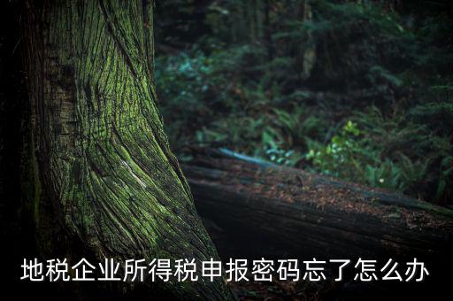 南京地稅密碼如何重置，個(gè)人所得稅忘記密碼之后如何進(jìn)行重置呢