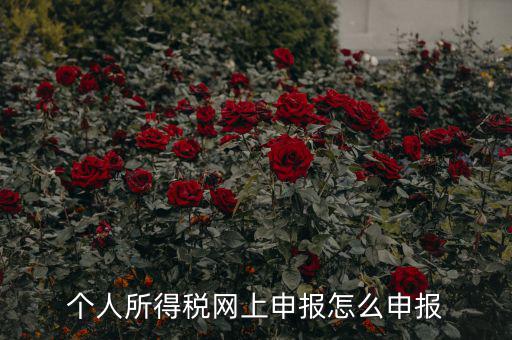 福建個人納稅如何申報，個人所得稅網(wǎng)上申報怎么申報