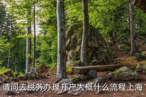 如何辦理稅務(wù)開戶，請問去稅務(wù)辦理開戶大概什么流程上海