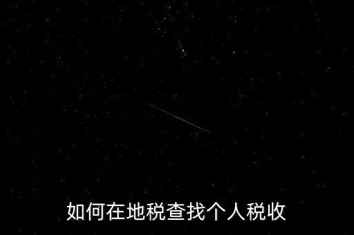 地稅局如何查個人所得稅，如何在地稅查找個人稅收
