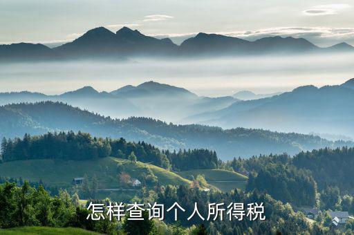 如何查詢個人交稅，個人所得稅繳納記錄怎么查詢