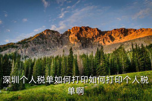 深圳網(wǎng)上如何打印稅單，怎樣在網(wǎng)上打印稅單我是深圳寶安區(qū)的