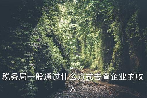 稅務如何統(tǒng)計收入，小規(guī)模增值稅季報在哪里統(tǒng)計收入