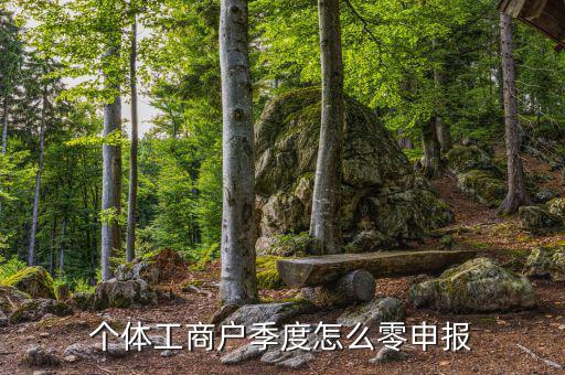 個體戶地稅如何零申報，個體工商戶地稅零申報怎樣報