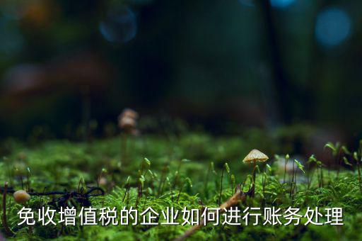 免稅的增值稅如何處理，增值稅免稅的處理