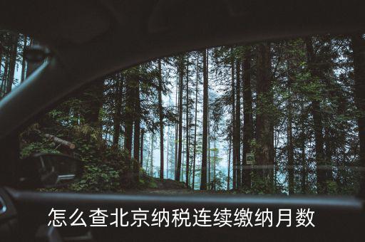 北京如何查到納稅記錄，怎么查詢納稅記錄