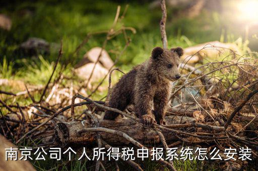 如何安裝金稅三期個(gè)稅安裝包，金稅三期在哪里下載
