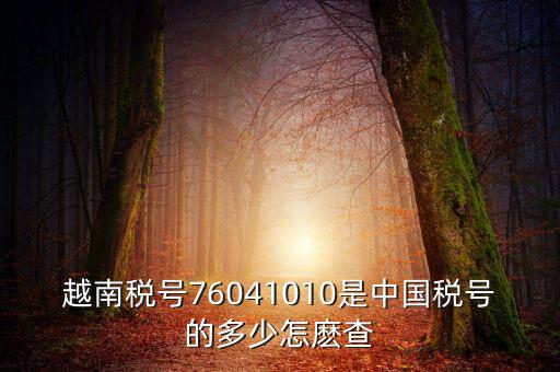 中國如何查個人稅號，越南稅號76041010是中國稅號的多少怎麼查
