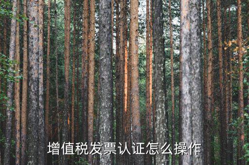 如何認(rèn)證增值稅進(jìn)項(xiàng)稅，進(jìn)項(xiàng)稅怎么認(rèn)證