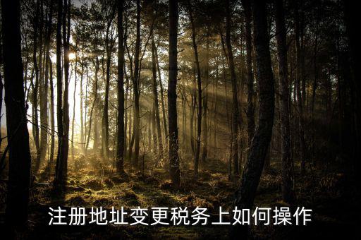 稅務(wù)官網(wǎng)地址如何變更，注冊地址變更稅務(wù)上如何操作