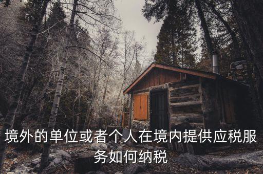 境外機(jī)構(gòu)如何繳納增值稅，來源于境外收入怎么交增值稅