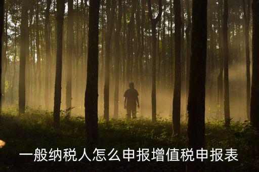 增值一般納稅人國稅如何申報(bào)，一般納稅人怎么申報(bào)增值稅申報(bào)表