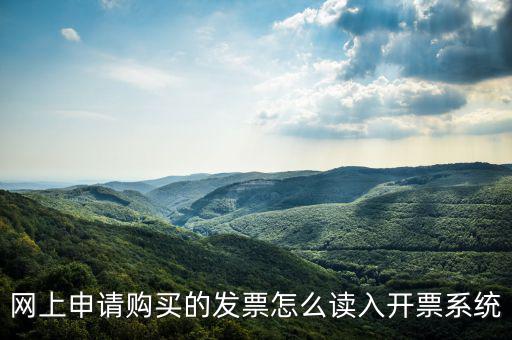 網(wǎng)購發(fā)票如何讀入，網(wǎng)上申請購買的發(fā)票怎么讀入開票系統(tǒng)