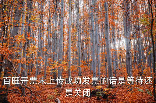 百旺未上傳發(fā)票如何上傳，百旺開(kāi)票軟件怎么查詢發(fā)票是否已上傳