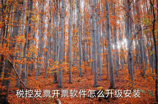 開票系統(tǒng)如何升級(jí)成品油軟件，稅率調(diào)整開票軟件如何升級(jí)