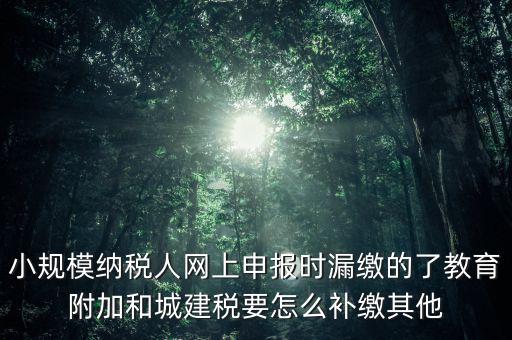 過了征期如何補(bǔ)交城建稅，請問城建稅忘記交怎么辦