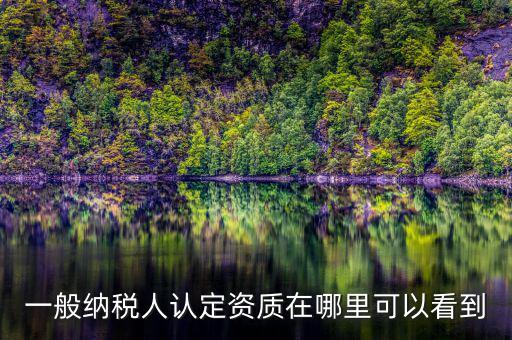 如何查看稅務(wù)資質(zhì)，一般納稅人認(rèn)定資質(zhì)在哪里可以看到