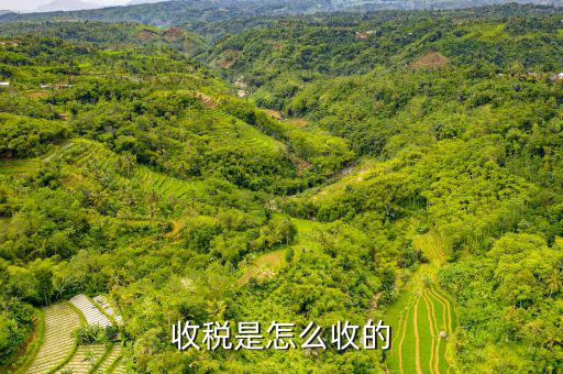 如何收稅務(wù)，收稅是怎么收的