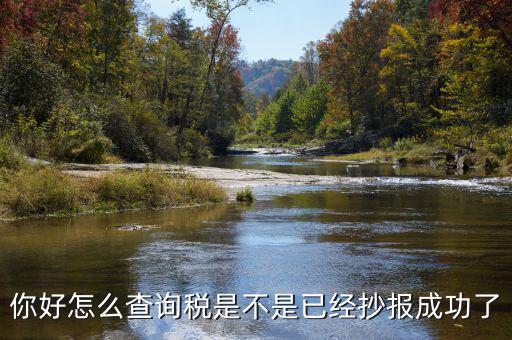 如何查看抄報(bào)成功，稅控發(fā)票開(kāi)票軟件怎么看網(wǎng)上抄報(bào)成功沒(méi)有