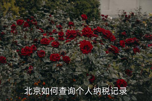 如何查詢北京國稅局納稅人狀態(tài)，如何進行北京市A級納稅人信用查詢