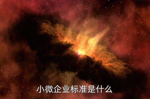 泰州如何認(rèn)定小微企業(yè)，兼營(yíng)營(yíng)業(yè)稅應(yīng)稅項(xiàng)目怎樣界定是否可享受暫免征收部分小微企