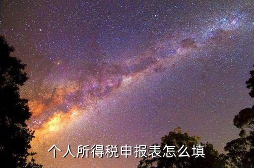 個人所得稅申報(bào)表怎么填