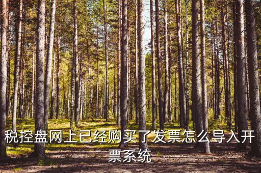 如何進入開票系統(tǒng)，怎么進入國家稅務(wù)局發(fā)票填開系統(tǒng)