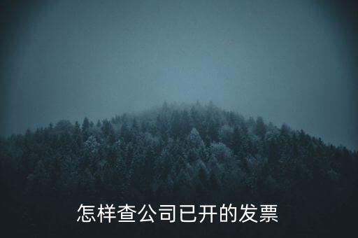 如何查企業(yè)的開票資料，如何查詢其他企業(yè)開具給本企業(yè)的發(fā)票