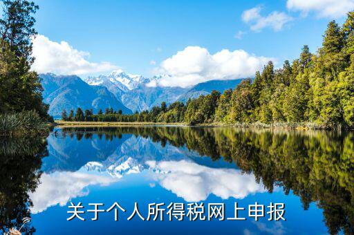 網(wǎng)上如何啟用個稅，如何打開個人所得稅申報表的明細(xì)