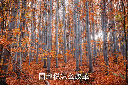 宿豫區(qū)國稅與地稅如何改革，深化國稅地稅征管體制改革方案是 什么內(nèi)容