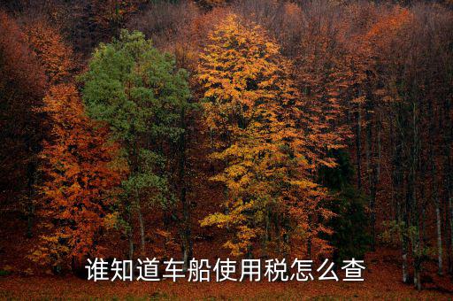 如何查詢自己交車船稅，車船稅交沒交能在網(wǎng)上查詢嗎