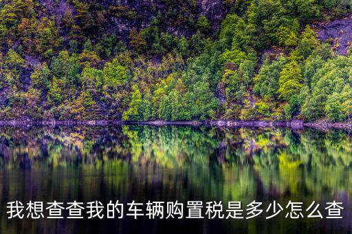 如何看購置稅發(fā)票，我想查查我的車輛購置稅是多少怎么查