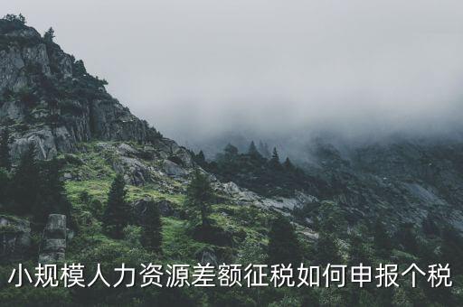 小規(guī)模人力資源差額征稅如何申報(bào)個稅