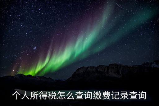 金稅三期個人所得稅如何查詢，個人所得稅怎么查詢繳費記錄查詢