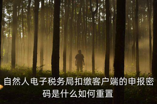 自然人納稅申報(bào)密碼如何找回，電子稅務(wù)局密碼忘記了怎么找回