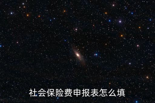 稅務(wù)系統(tǒng)社保費(fèi)申報(bào)表如何填報(bào)，社會保險(xiǎn)費(fèi)申報(bào)表怎么填