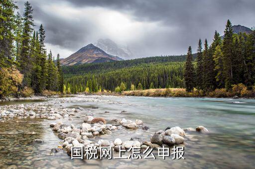 北京國(guó)稅地稅如何網(wǎng)上申報(bào)系統(tǒng)，稅務(wù)申報(bào)如何網(wǎng)上申報(bào)