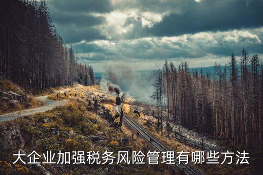 如何加強對重點企業(yè)的稅務(wù)管理辦法，加強大企業(yè)的稅收管理有何良策