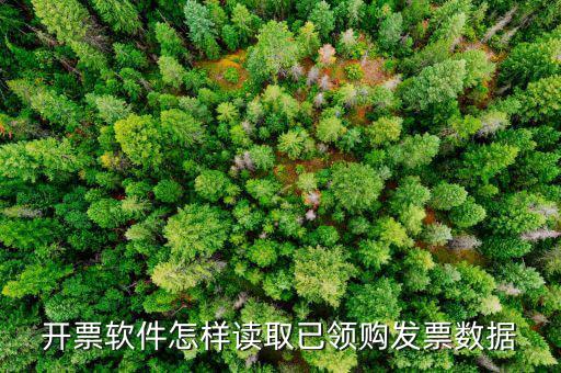 發(fā)票數(shù)據(jù)如何采集，開票軟件怎樣讀取已領(lǐng)購(gòu)發(fā)票數(shù)據(jù)