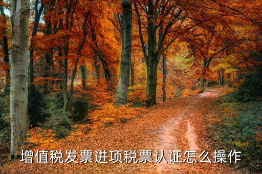國稅如何勾選認(rèn)證，增值稅發(fā)票選擇確認(rèn)平臺如何勾選進(jìn)項發(fā)票認(rèn)證