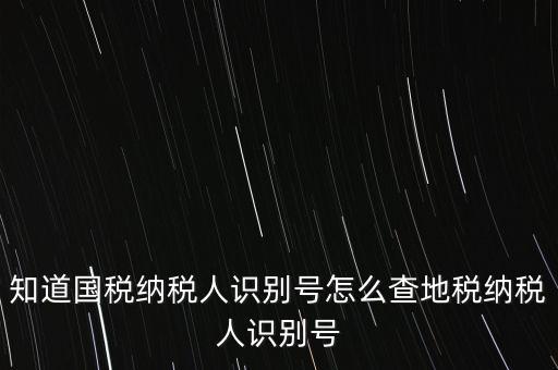 知道國稅納稅人識(shí)別號(hào)怎么查地稅納稅人識(shí)別號(hào)