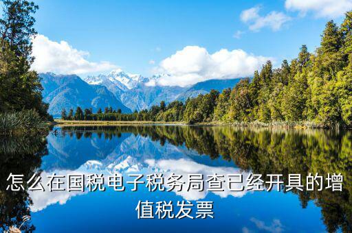 如何查詢國(guó)稅開(kāi)票記錄，怎么在國(guó)稅系統(tǒng)里查到我本月開(kāi)的發(fā)票明細(xì)