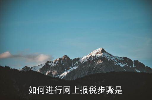 如何推行網(wǎng)上辦稅，如何辦理網(wǎng)上納稅