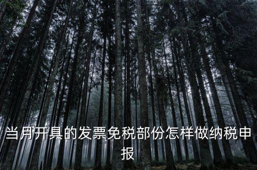 免稅和納稅如何申報，當月開具的發(fā)票免稅部份怎樣做納稅申報