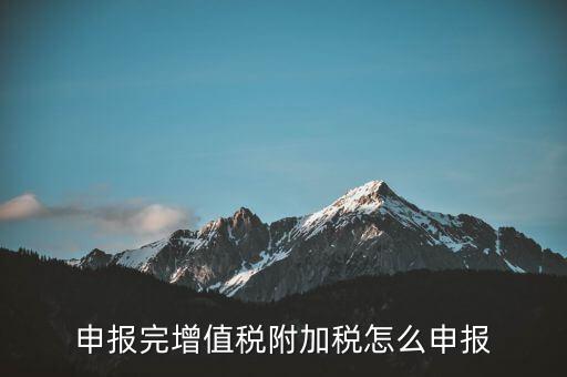附加稅在國(guó)家稅務(wù)局網(wǎng)如何申報(bào)表，網(wǎng)上申報(bào)城建稅教育附加稅怎么填