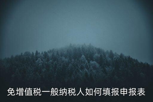 免稅如何填寫申報(bào)表，免稅企業(yè)如何填報(bào)增值稅納稅申報(bào)表