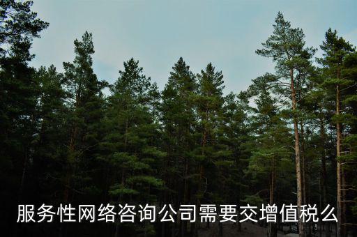 服務性網(wǎng)絡咨詢公司需要交增值稅么