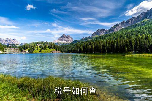 國際企業(yè)稅號(hào)如何查詢，老外要公司稅號(hào)他怎么查呢